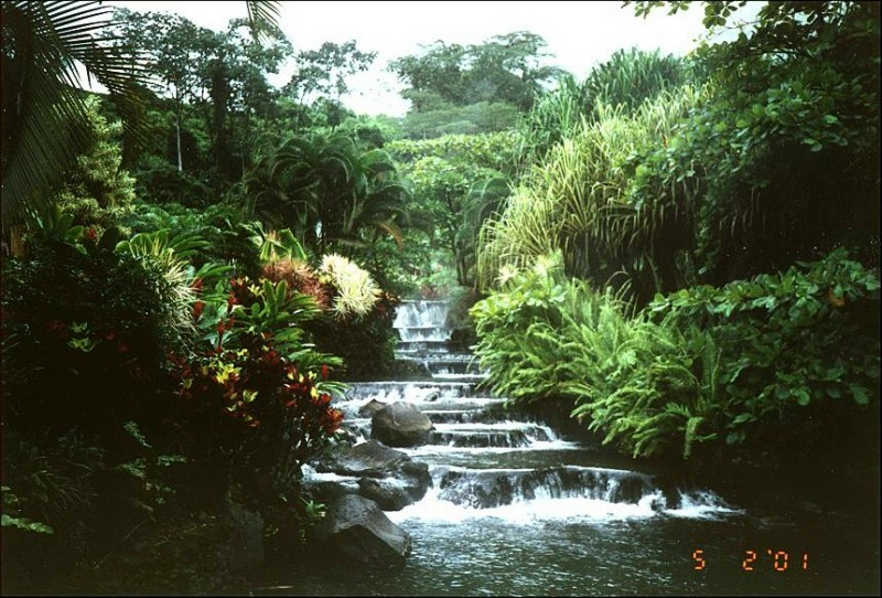 ../Images/Arenal Hot Springs Falls.jpg